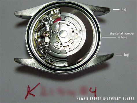 rolex kaç yılında kuruldu|rolex watch serial number.